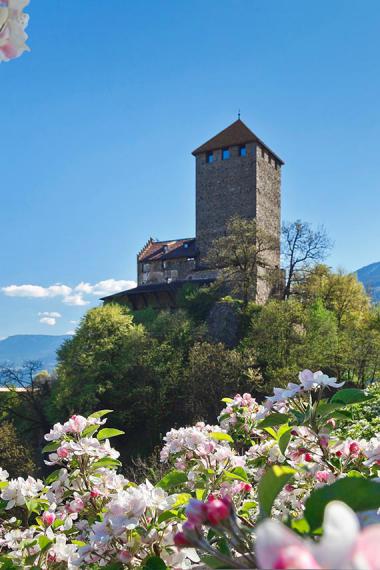 Castle Tyrol - South Tyrolean Museum of Culture and Provincial History Castle Tyrol - South Tyrolean Museum of Culture and Provincial History