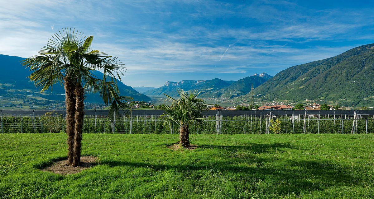 Garten Appartement-Hotel Beatenhof