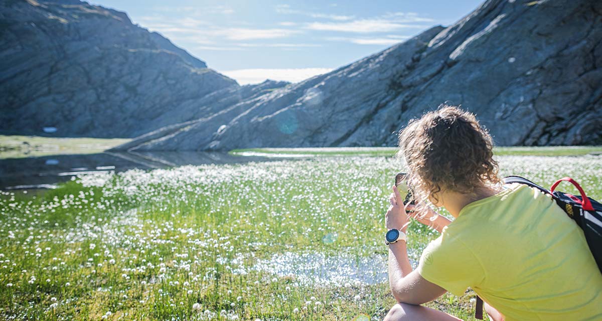 News aus Südtirol